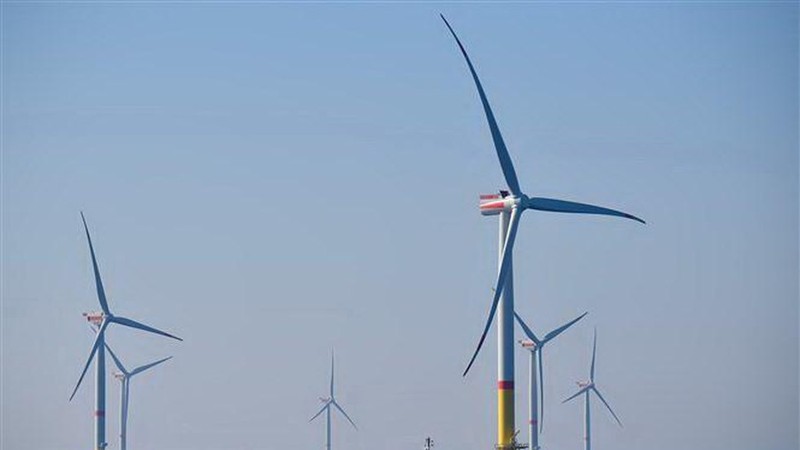 IEA: Năng lượng tái tạo là trọng tâm trong kế hoạch khôi phục kinh tế