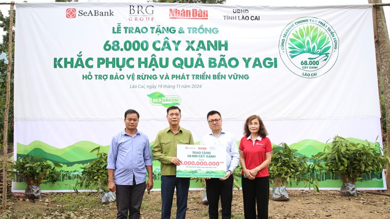 SeABank và Tập đoàn BRG chung tay trồng 68.000 cây phủ xanh gần 20ha rừng tại Lào Cai