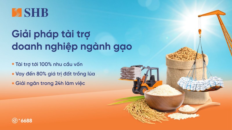 SHB triển khai giải pháp tài chính toàn diện dành cho các doanh nghiệp lúa gạo