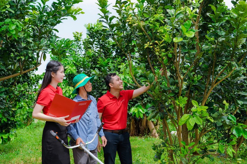 Phát triển kinh tế tư nhân là chủ trương lớn mang tính đột phá của Đảng và Nhà nước trong định hướng dài hạn về phát triển kinh tế đất nước Ảnh 1 - thumbnail.jpg