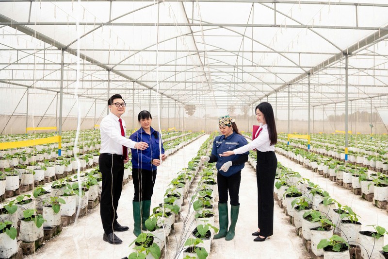 Agribank tăng cường nguồn lực cho khu vực “Tam nông” khẳng định cam kết đồng hành cùng các địa phương trong việc lan tỏa tài chính toàn diện, hướng đến một nền kinh tế bao trùm và phát triển bền vững Anh-5 (3).jpg