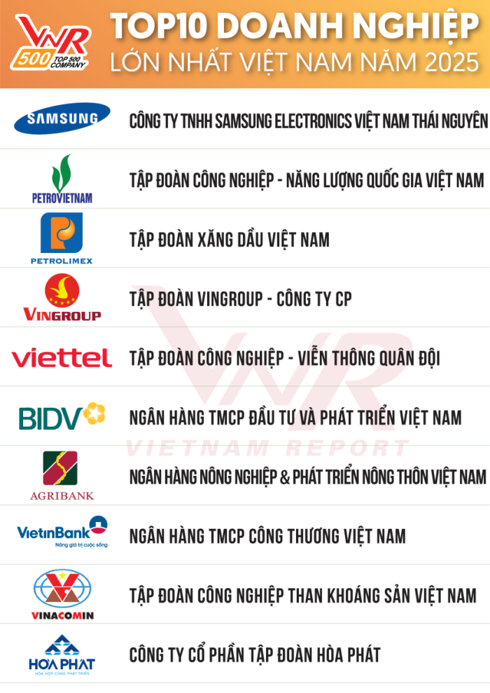 Tập đoàn Hòa Phát nằm trong top 10 doanh nghiệp lớn nhất Việt Nam ảnh 2