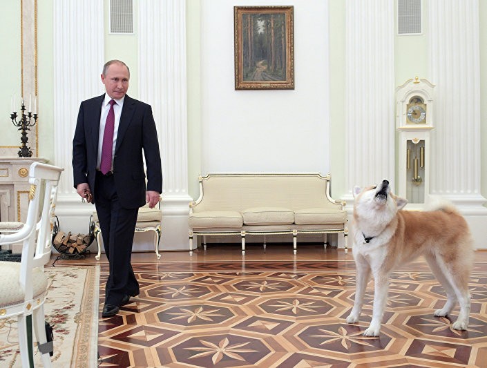 Ông Putin và chú chó được phía Nhật Bản tặng