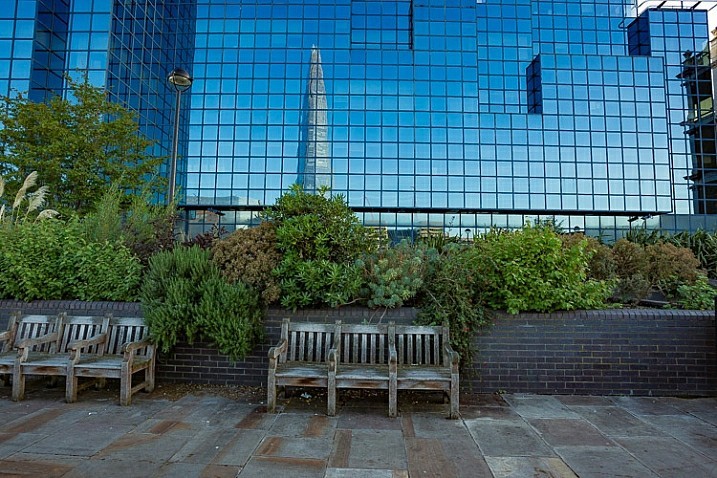 Ánh sáng - nguyên nhân khiến bạn chụp ảnh không đẹp ảnh 3