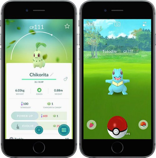 Các Pokemon thế hệ 2 có ngoại hình nhỏ bé và dễ thương.