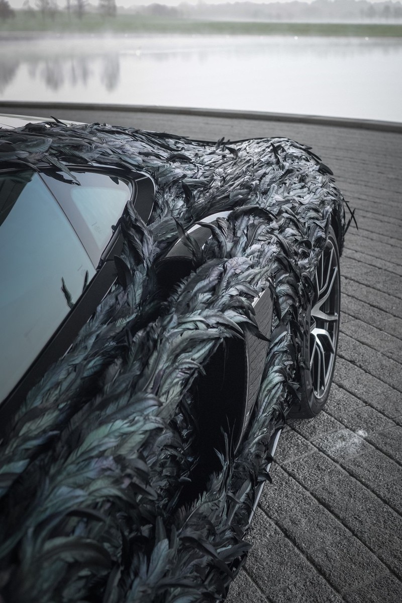 McLaren giải thích việc lựa chọn siêu xe 570GT để phủ lông vũ nhân tạo là bởi đây là sản phẩm phù hợp nhất cho những hành trình dài, như cách những chú chim thường hay di chuyển xuyên lục địa. Tuy nhiên, thời gian tới hãng sẽ thực hiện việc này với các mẫu siêu xe khác.