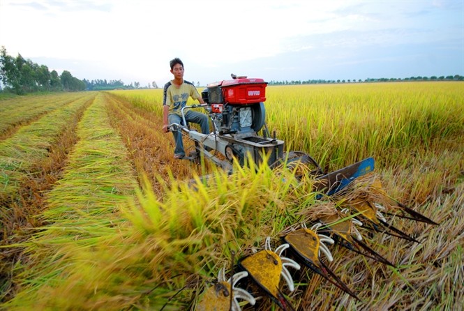 Tích tụ, tập trung đất đai phải trên cơ sở đảm bảo hài hòa lợi ích của Nhà nước, của nhà đầu tư và đặc biệt là lợi ích của người nông dân. Nguồn Internet