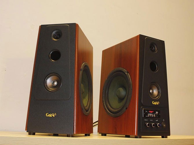 Loa Việt GoldSound  W120