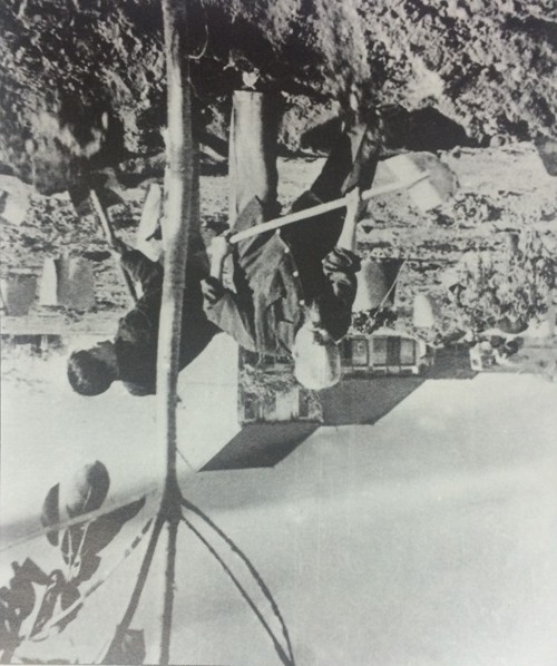 Những hình ảnh về cuộc đời bình dị của Bác ảnh 15