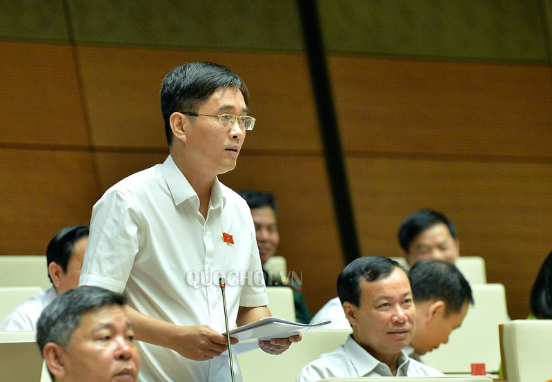 "Không nên để cùng là nhà nước, một bên ra sức thoái vốn, một bên lại mua vào" - ĐB Hoàng Quang Hàm