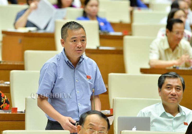 Đại biểu Nguyễn Lân Hiếu, đoàn An Giang Đại biểu Nguyễn Lân Hiếu, đoàn An Giang
