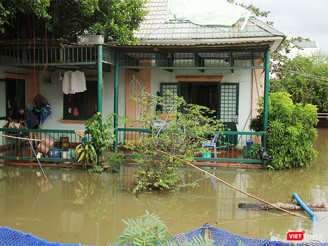 Nhà bà Hồ Thị Xuân Hương ở phường An Phú, Q.2 đến chiều 26.11 vẫn còn ngập sâu trong nước Nhà bà Hồ Thị Xuân Hương ở phường An Phú, Q.2 đến chiều 26.11 vẫn còn ngập sâu trong nước