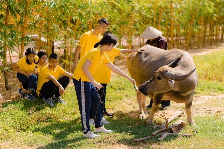 Đoàn Thái Lan “lạc” vào khung cảnh làng quê Bắc Bộ với lũy tre xanh, ruộng lúa vàng ươm mùa thu hoạch, những chú trâu chăm chỉ nhai rơm và đàn bò đang nhẩn nha nhai cỏ. Hình ảnh đặc trưng văn hóa đồng bằng Bắc Bộ này hiện khó để tìm thấy ngay cả ở các vùng nông thôn miền Bắc ngày nay. Đoàn Thái Lan “lạc” vào khung cảnh làng quê Bắc Bộ với lũy tre xanh, ruộng lúa vàng ươm mùa thu hoạch, những chú trâu chăm chỉ nhai rơm và đàn bò đang nhẩn nha nhai cỏ. Hình ảnh đặc trưng văn hóa đồng bằng Bắc Bộ này hiện khó để tìm thấy ngay cả ở các vùng nông thôn miền Bắc ngày nay.