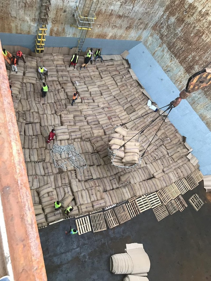 Điều thô nhập khẩu từ Tanzania được đưa lên tàu để chuyển về Việt Nam