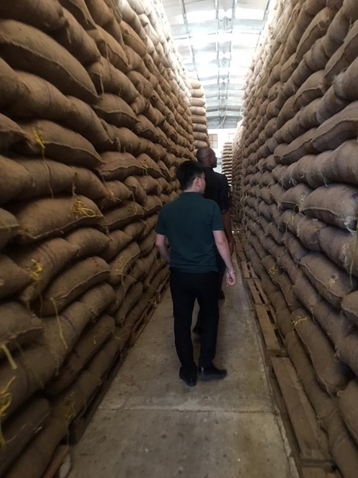 Chuyên gia T&T Group sang tận kho trữ điều thô của Tanzania để kiểm tra chất lượng điều thô