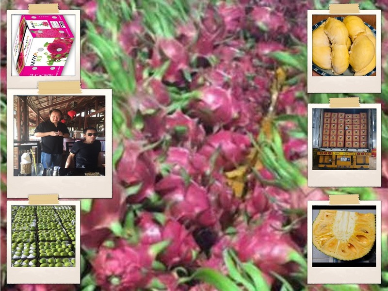 Ông Lý, thương lái Trung Quốc: 