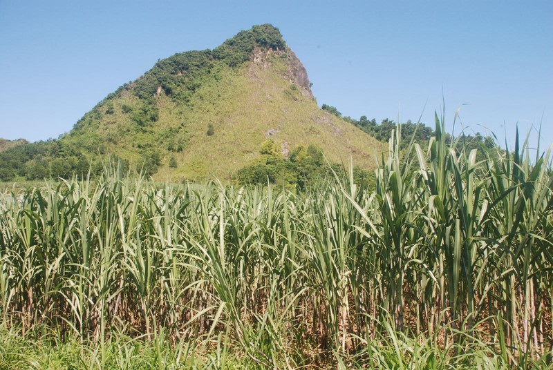 Mỏ đá núi Trẩu nơi 3 đội viên TNXP hy sinh