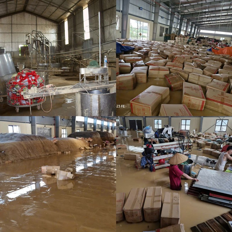Xưởng miến của Hợp tác xã Việt Cường ngập hoàn toàn trong nước lũ Ảnh 1.jpg