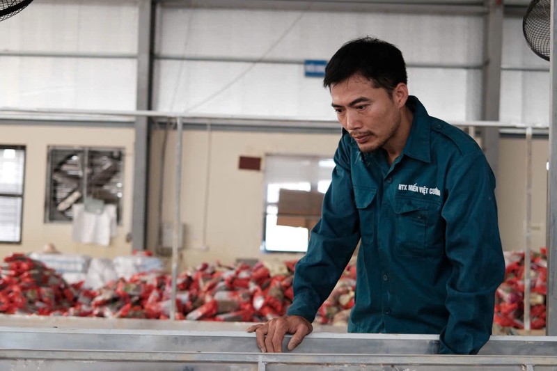 Anh Nguyễn Văn Ba, Giám đốc Hợp tác xã Việt Cường vẫn còn bần thần về những gì đang xảy ra Ảnh 2.jpg