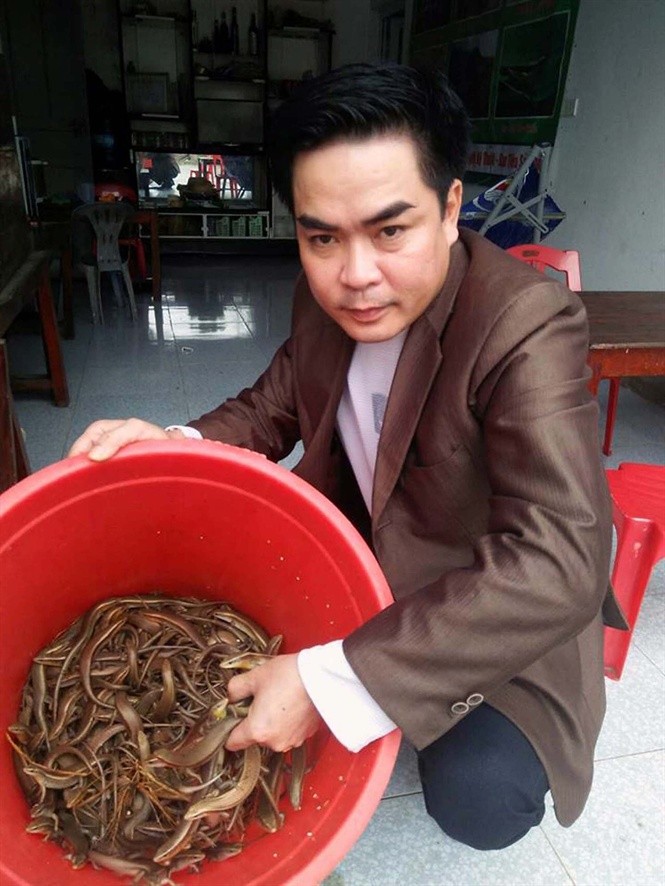 Thu hoạch rắn mối