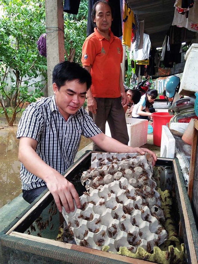 Kiểm tra thùng nuôi dế của hội viên