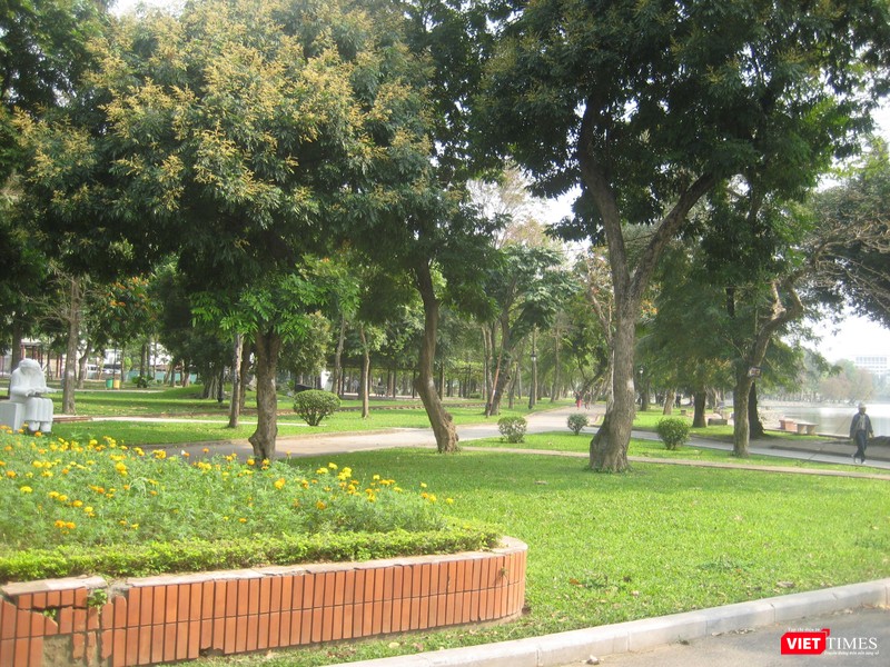 Cây xanh trong Công viên Thống Nhất ở Hà Nội