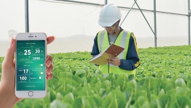 Muốn thực hiện thành công chuyển đổi số nông nghiệp phải nhất thiết có được những nhà lãnh đạo và quản trị số Muốn thực hiện thành công chuyển đổi số nông nghiệp phải nhất thiết có được những nhà lãnh đạo và quản trị số