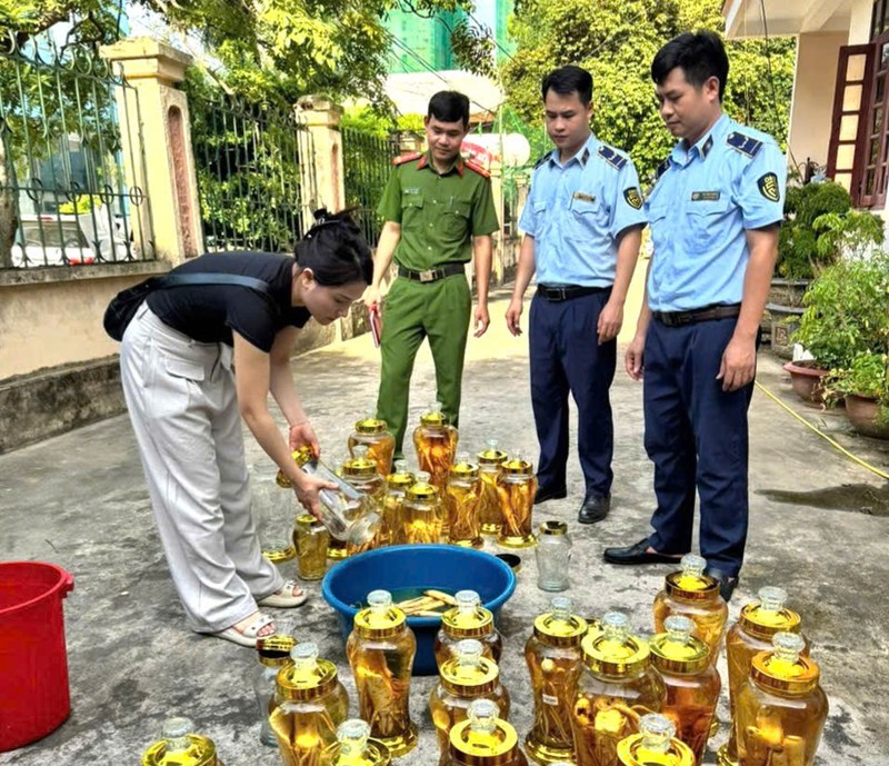 Lực lượng chức năng giám sát việc tiêu hủy tang vật vi phạm. tieuhuy1.jpg