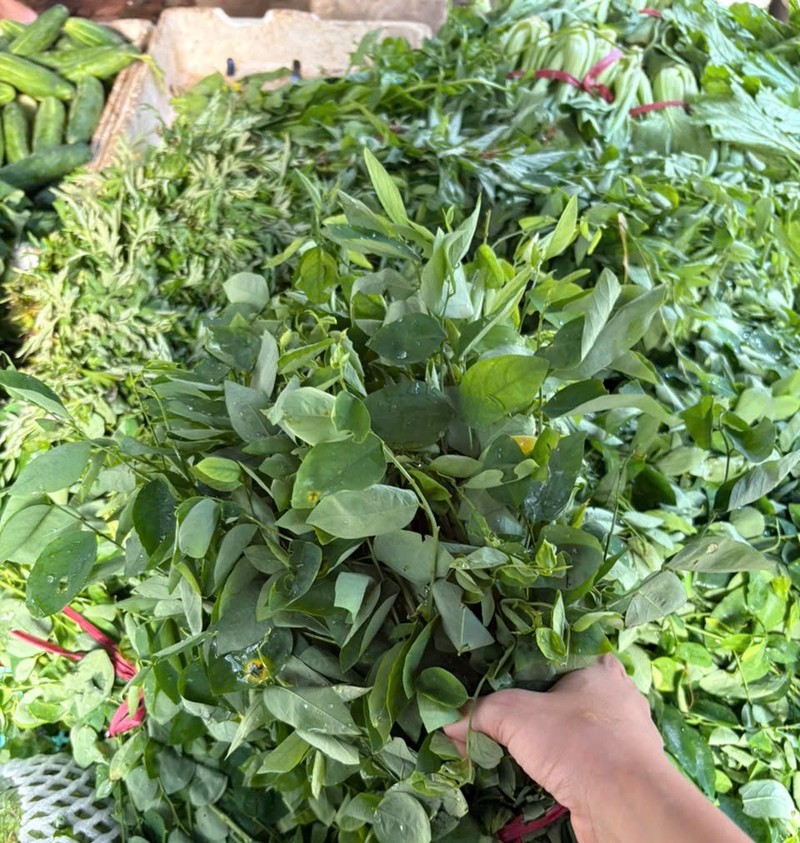 Giá rau xanh tăng mạnh tại chợ dân sinh. Ảnh: Bảo Trâm. R1.jpg