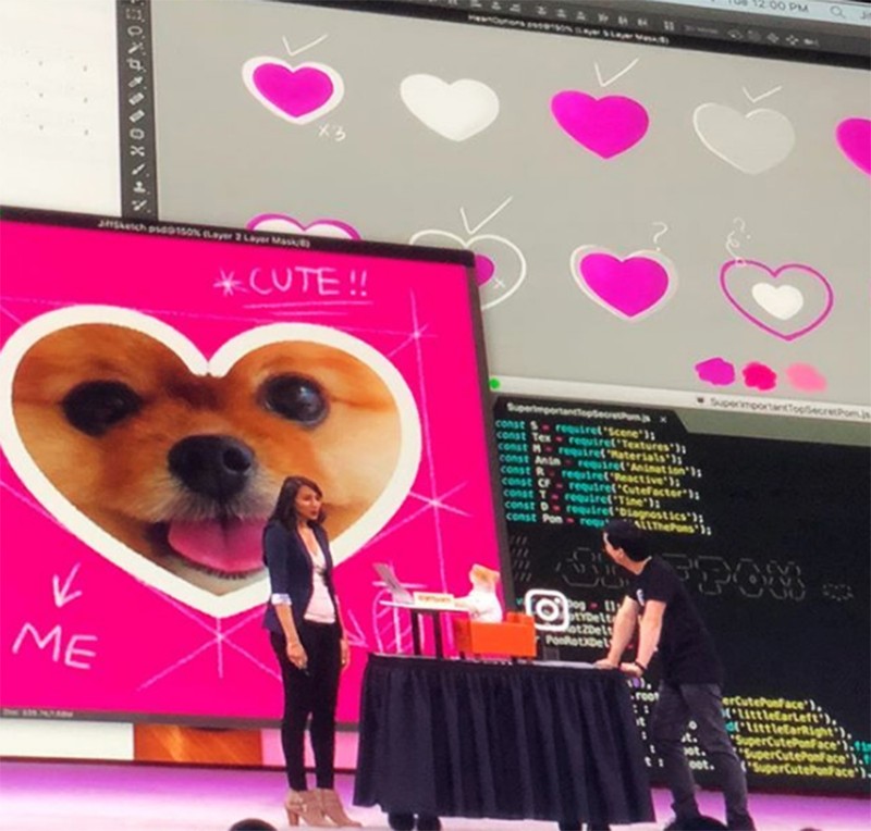 Chú chó Jiff Pom nổi tiếng ra sao mà được xuất hiện trong sự kiện lớn nhất năm của Facebook? ảnh 6 Chú chó Jiff Pom nổi tiếng ra sao mà được xuất hiện trong sự kiện lớn nhất năm của Facebook? ảnh 6