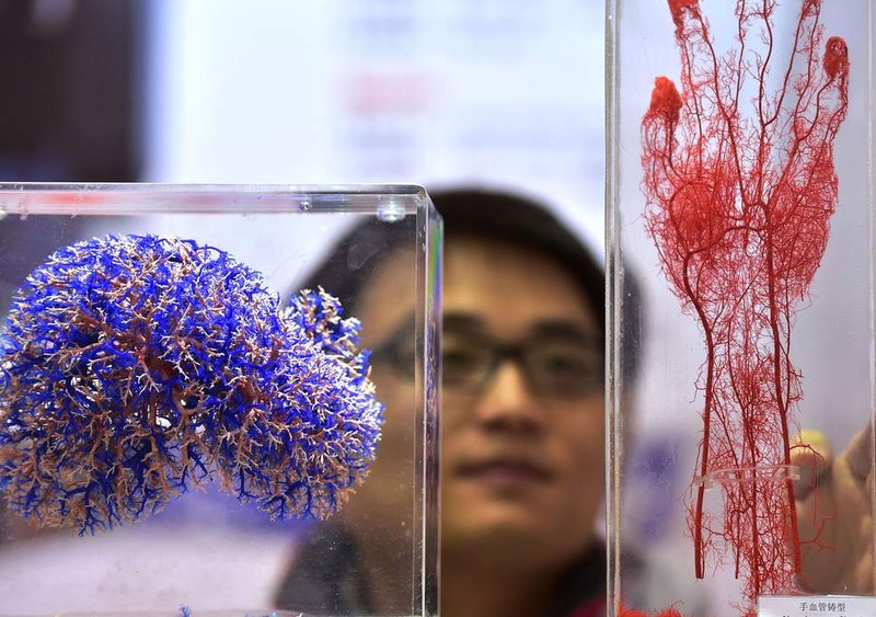 (ảnh: Independent)