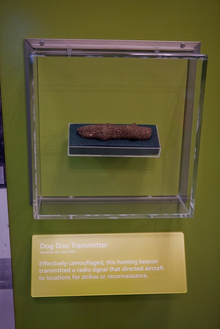 (ảnh: Jared eberhardt/Flickr) (ảnh: Jared eberhardt/Flickr)