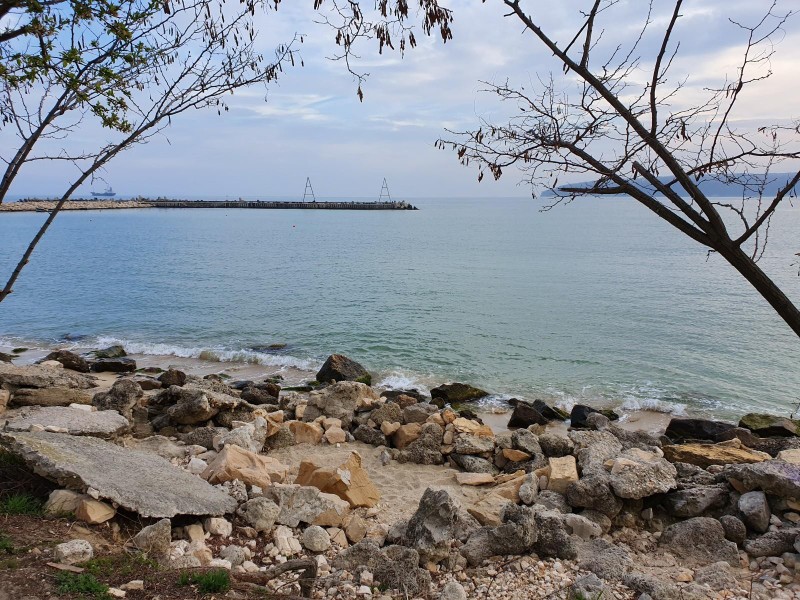 Galaxy S10+ Galaxy S10+