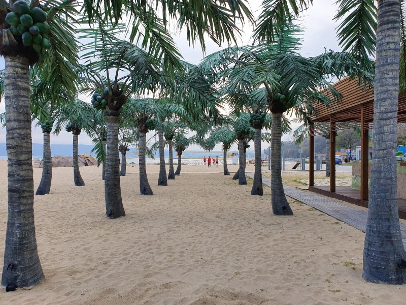 Galaxy S10+ Galaxy S10+