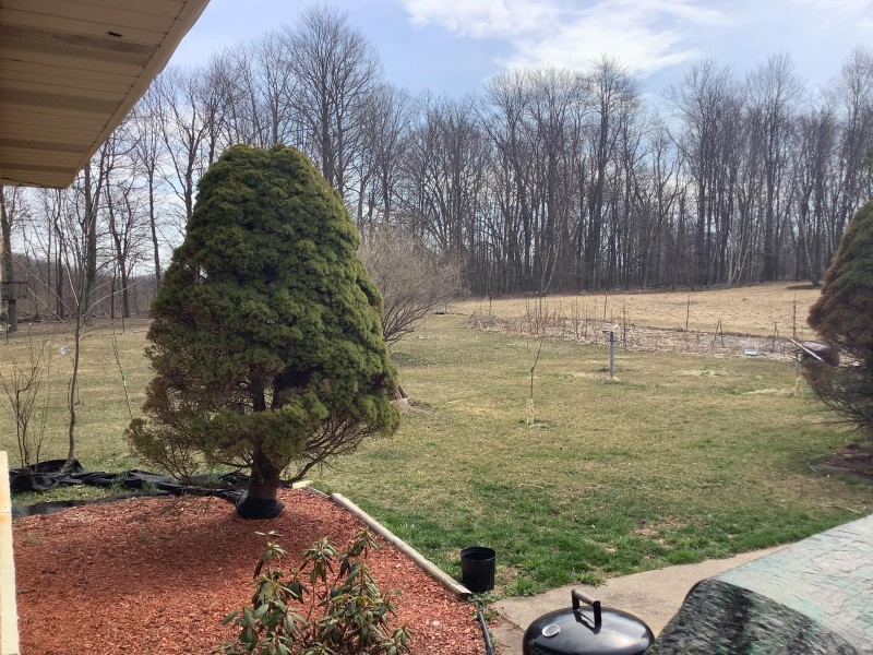 ảnh: Phone Arena ảnh: Phone Arena