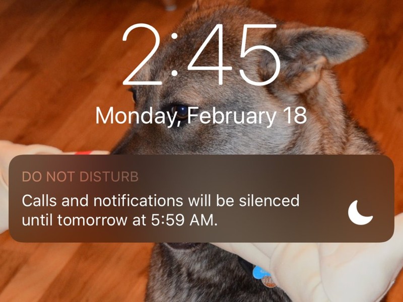 Khi tính năng "Không làm phiền" được bật, màn hình khóa sẽ hiển thị một thông báo cho bạn biết rằng nó giữ cho điện thoại của bạn yên lặng và tối (ảnh: BI) Khi tính năng "Không làm phiền" được bật, màn hình khóa sẽ hiển thị một thông báo cho bạn biết rằng nó giữ cho điện thoại của bạn yên lặng và tối (ảnh: BI)