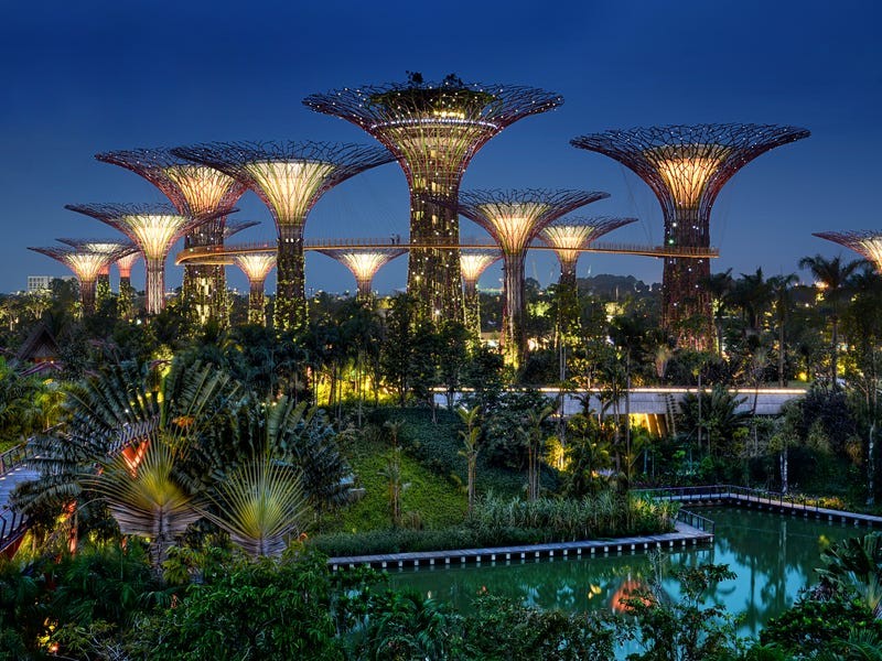 (ảnh Fickr) (ảnh Fickr)