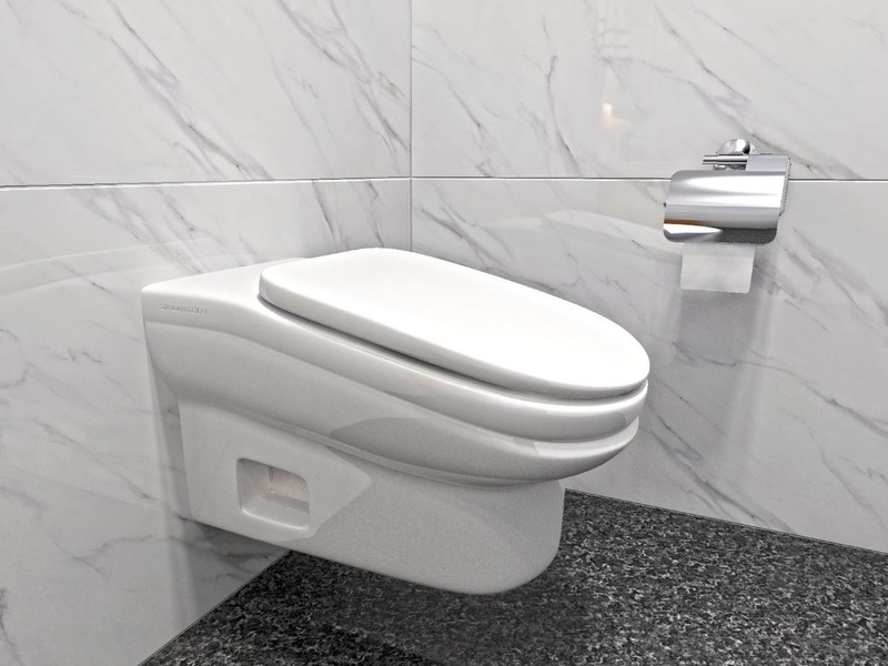 Chiếc bồn cầu StandardToilet