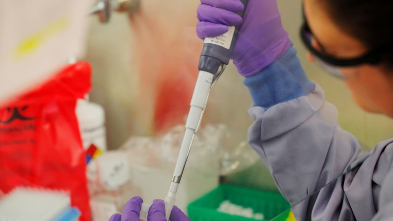 Xét nghiệm nhanh người nhiễm virus Corona giúp ích rất nhiều cho việc cách ly và điều trị (ảnh: Nikkei)