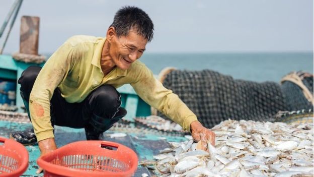 Thương mại điện tử là chìa khóa giúp người làm nông nghiệp và nghề cá tiêu thụ được nông sản và hải sản