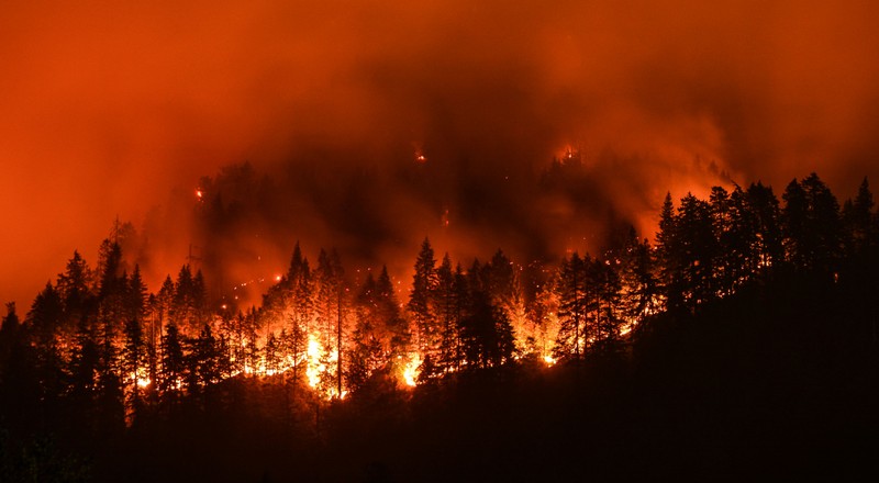 Nhiệt độ cao gây ra các đám cháy rừng ở California, Hoa Kỳ (ảnh: The Nature Conservancy)