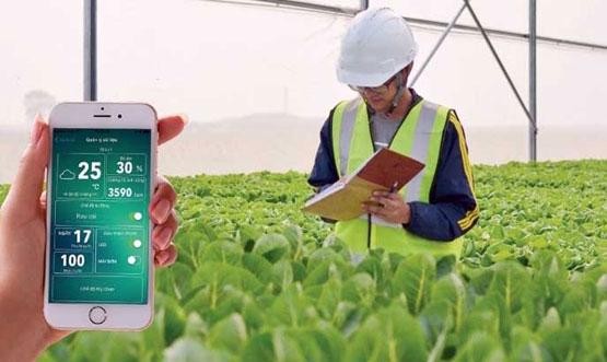 Nông nghiệp là một lĩnh vực tất yếu phải ứng dụng công nghệ cao ở Việt Nam