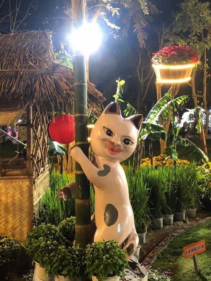 Hải Dương Hải Dương