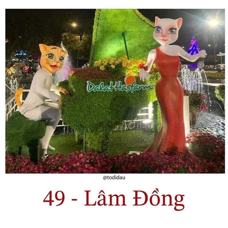 Lâm Đồng Lâm Đồng
