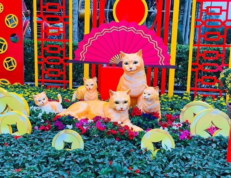 Nam Định Nam Định