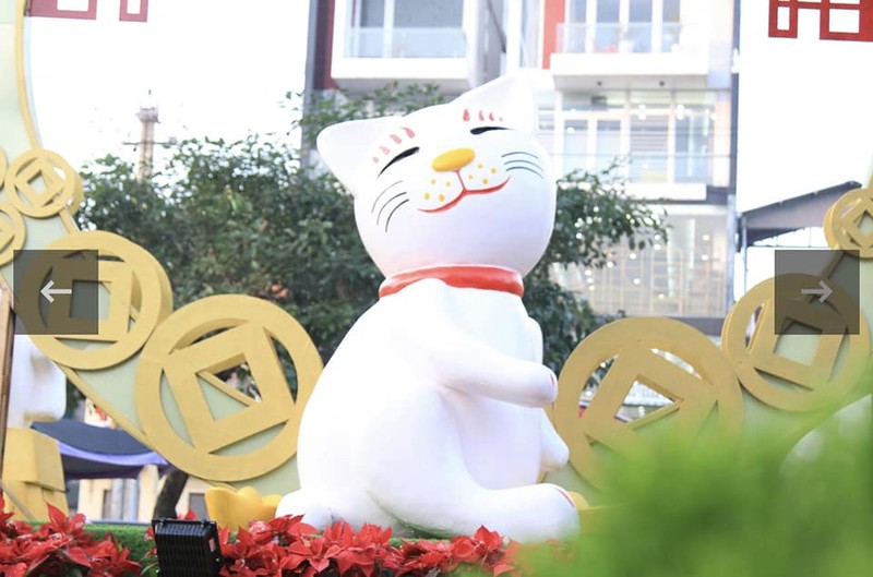 Quảng Ngãi Quảng Ngãi