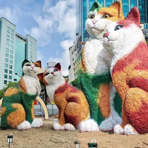 TP. Hồ Chí Minh TP. Hồ Chí Minh