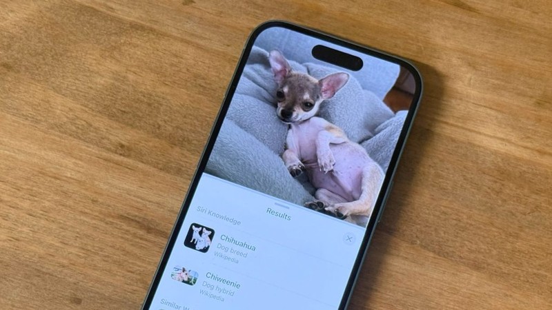Ảnh minh họa: BGR iphone 16.jpg