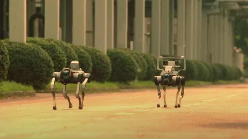 Chó robot X30 của hãng Deep Robotics đang tiến hành tuần tra. Ảnh: Deep Robotics Cho robot cua Deep Robotics -Deep Robotics.jpg