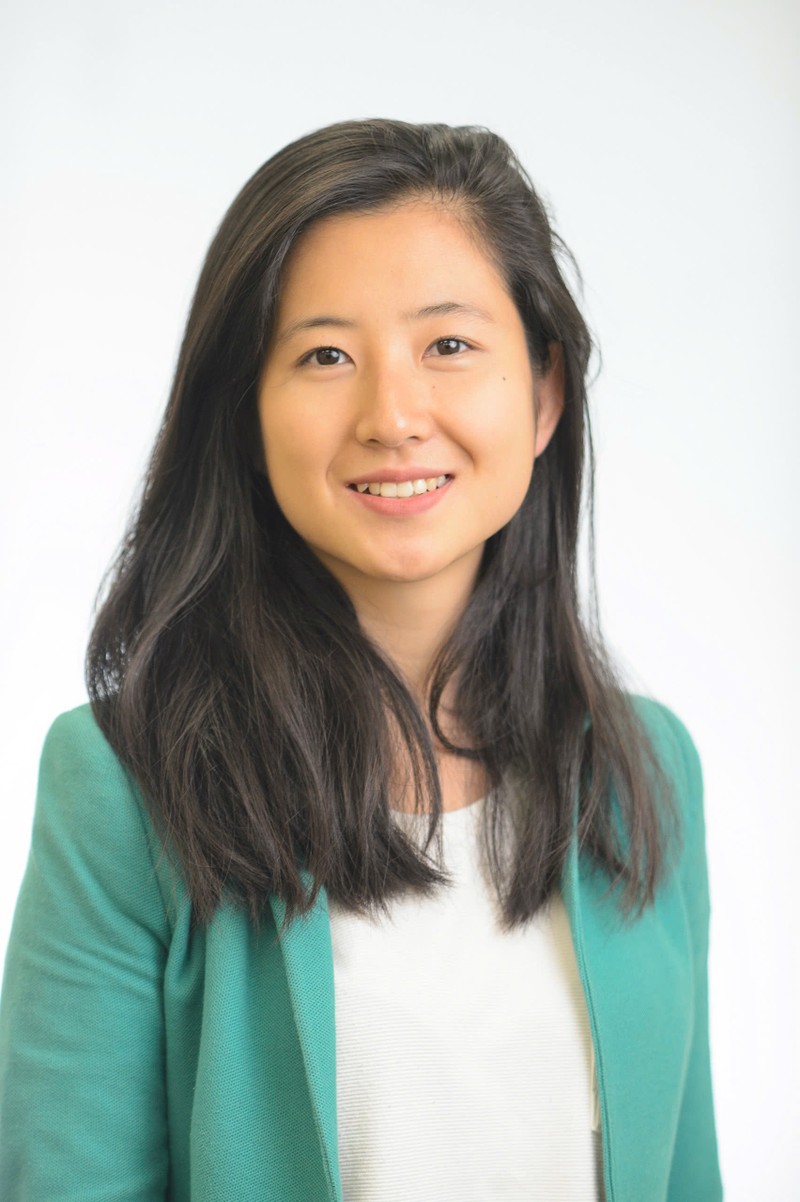 Bà Trần Thị Bảo Ánh, chuyên gia UNDP Bao Anh.jpg
